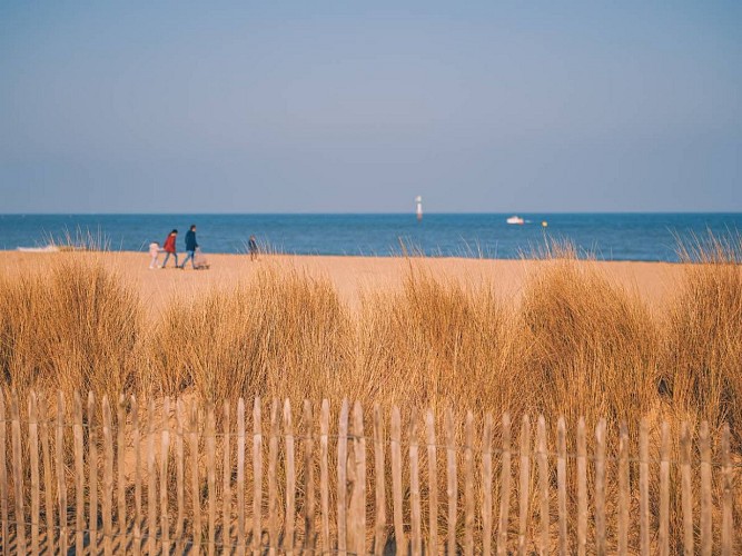 Dunes_et_oyats_sur_la_plage- Merville-Franceville - Normandie_Pays_d_Auge