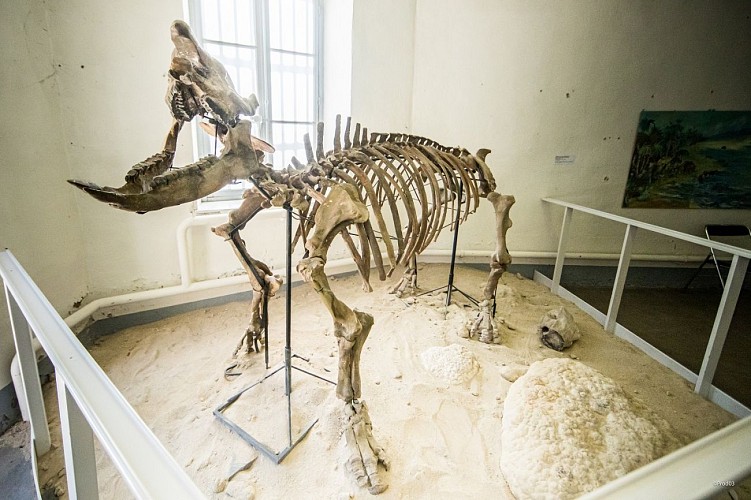 Municiapal museum Yves Machelon