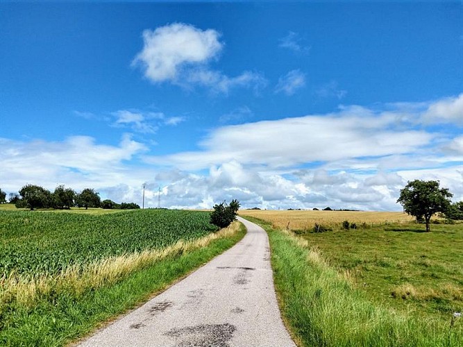 CAMPING A LA FERME ENTRE LES SOURCES