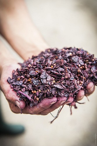 Vignerons Nebout