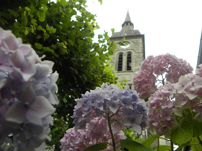 Thélus - Village Patrimoine ®