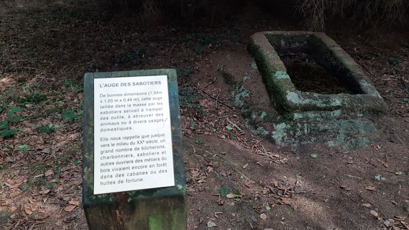 Auge des sabotiers