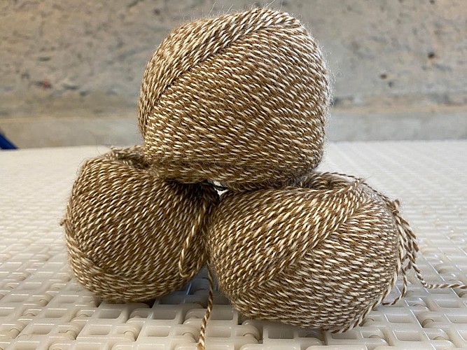 Alpagas et filature de l'Aubepierre