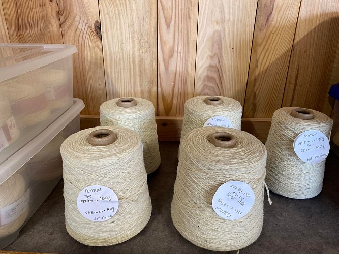 Alpagas et filature de l'Aubepierre