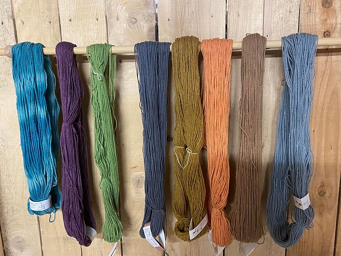 Alpagas et filature de l'Aubepierre