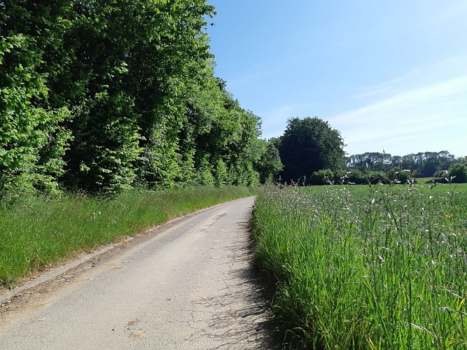 En chemin vers le Caillebourg