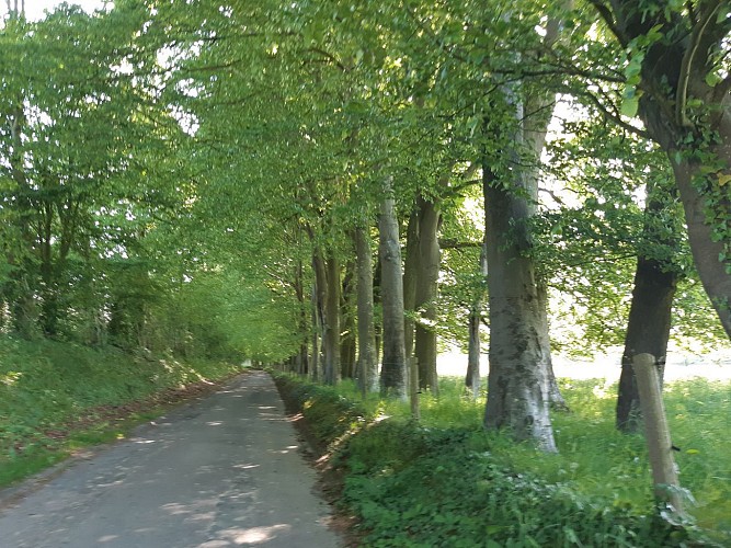 En chemin vers le Caillebourg