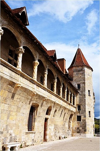 Chateau-Nerac