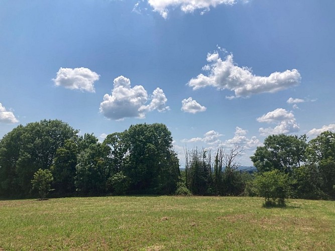 Uitzicht vanaf terras1