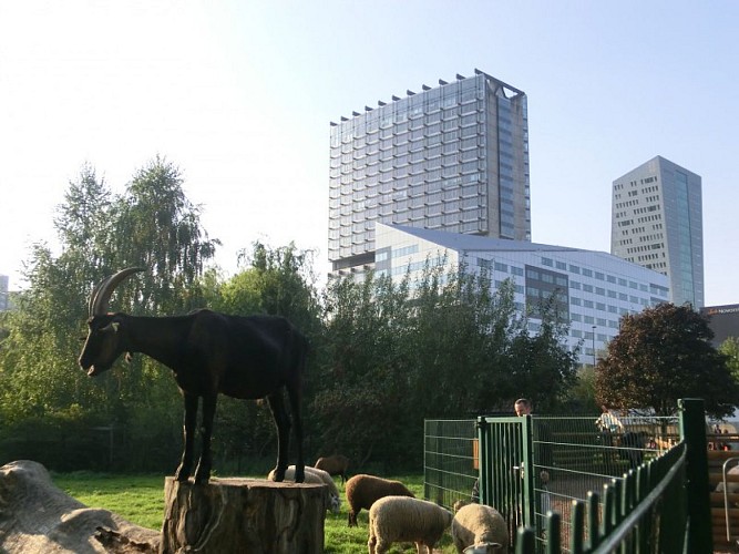 Parc des Dondaines et Ferme Pédagogique