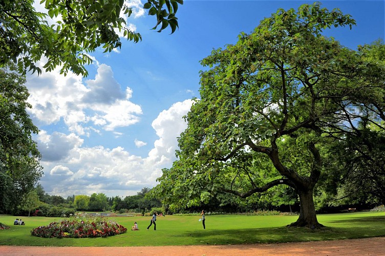 Jardin des plantes de Lille