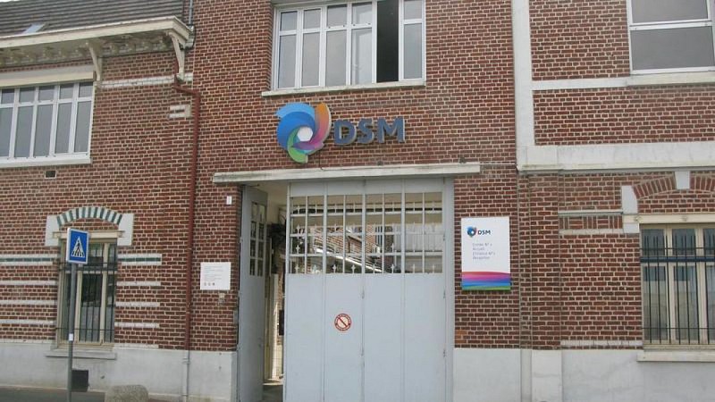 Usine DSM