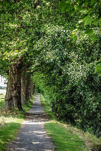 Le canal de Seclin