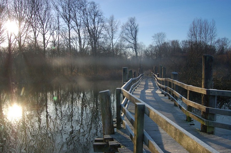 Marais de Fretin