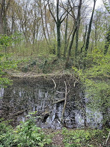 La motte Quiquempois