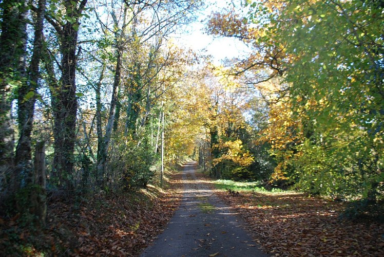 Chambres d’hôtes Référence Maison du Masjoubert
