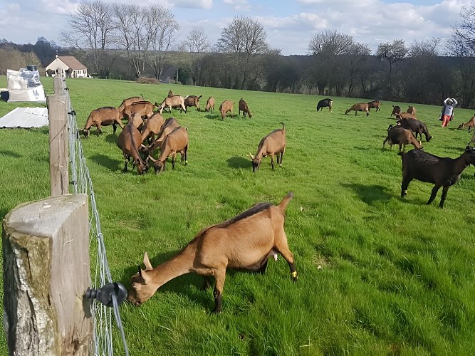 La Ferme de la Chevrière