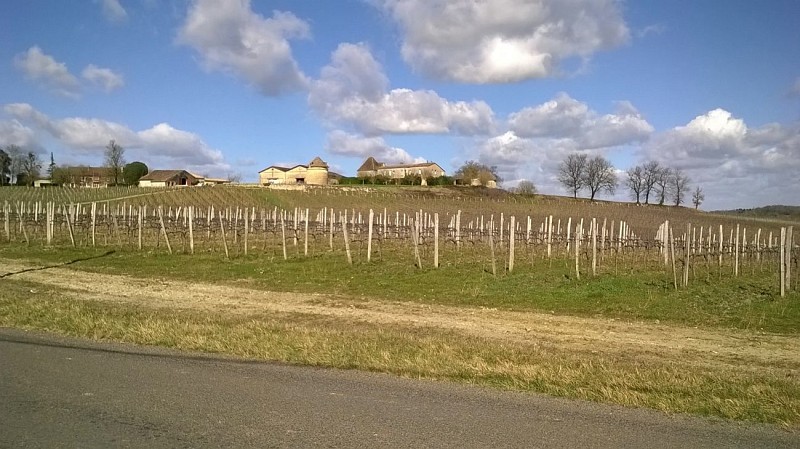 Le Château Puyfromage et son colombier - Francs côtes de Bordeaux