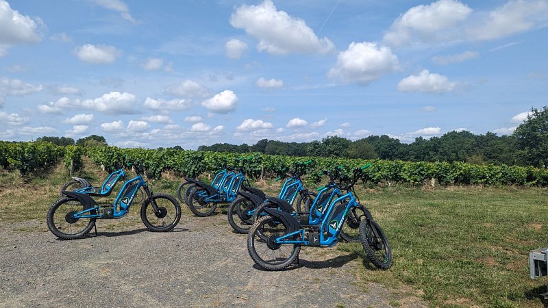 Trott'In Nantes dans le Vignoble Nantais