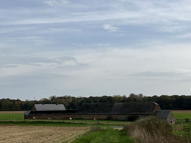 vue sur abbaye