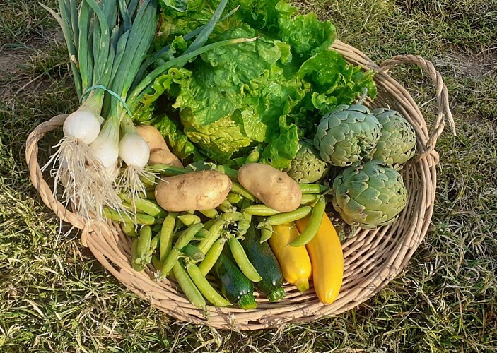 potagerdelavergne-panier