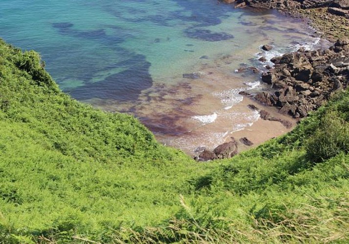 Excursion guidée au Sanctuaire de Loyola, à Getaria, à Zarautz et à Saint-Sebastien - Au départ de Bilbao