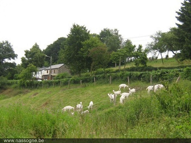 Village de Lesterny