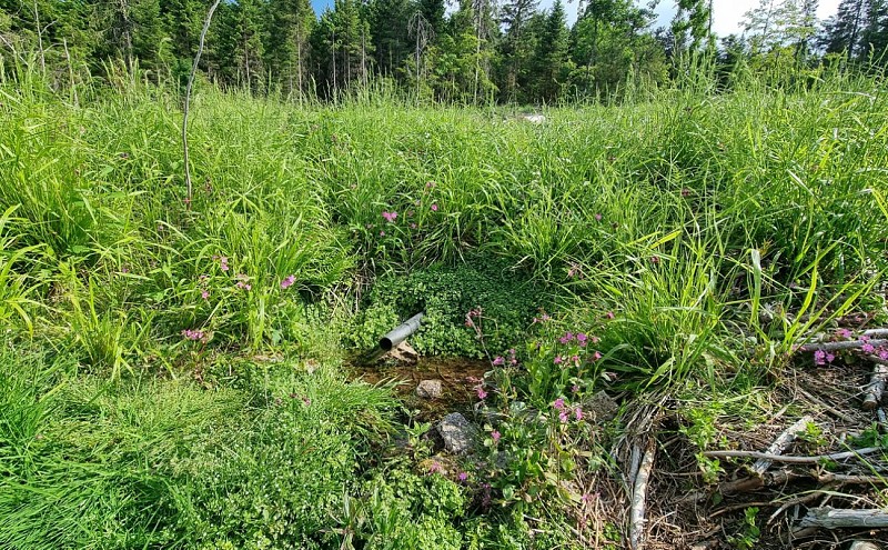 La source de saint jacques - bron