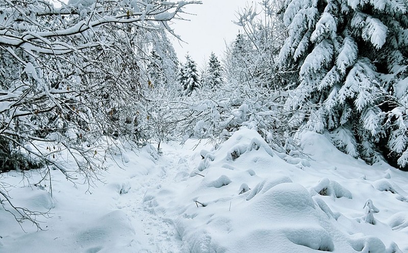 L'observatoire de merelle - observatorium
