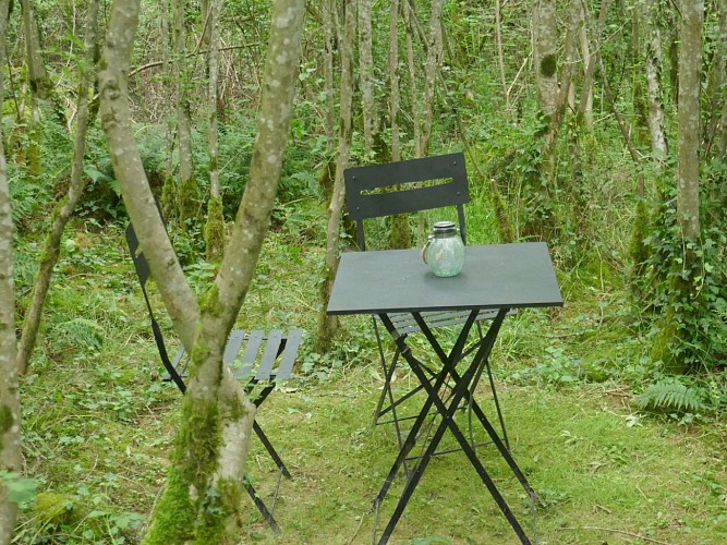 Les Rêves d'Ambre, le pavillon