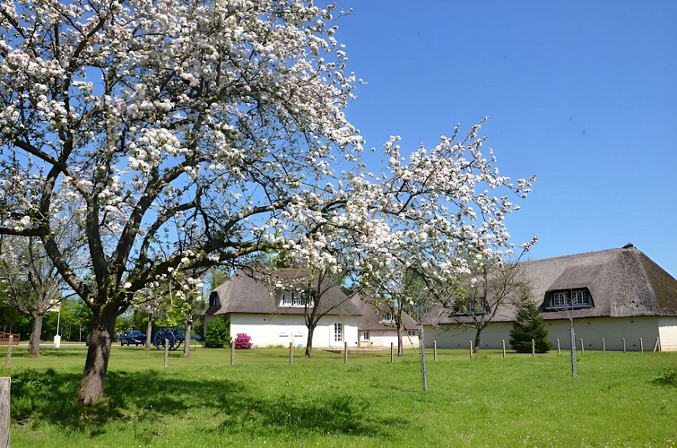 Dommaine de la Pommeraie