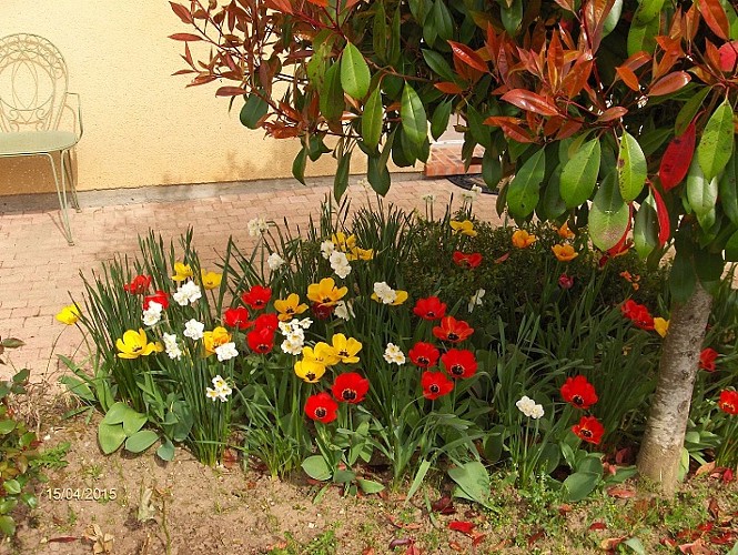 Chambre d'hôtes Les Chardonnerets