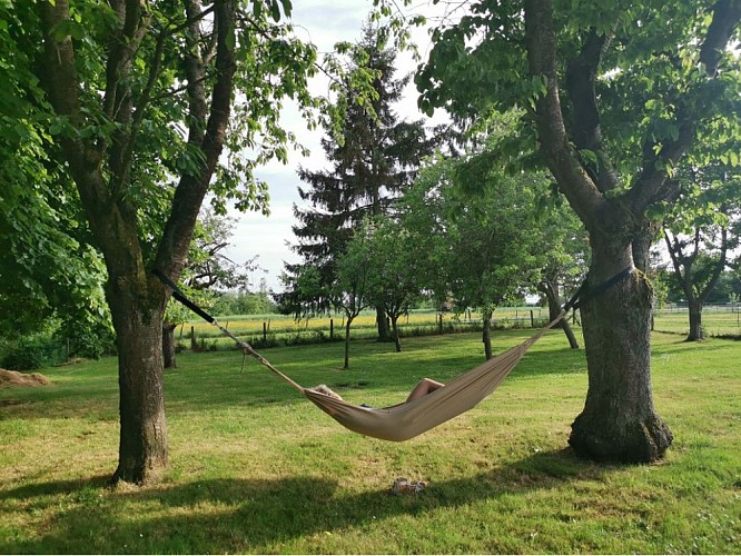 Gîte de l'Yggdrasil