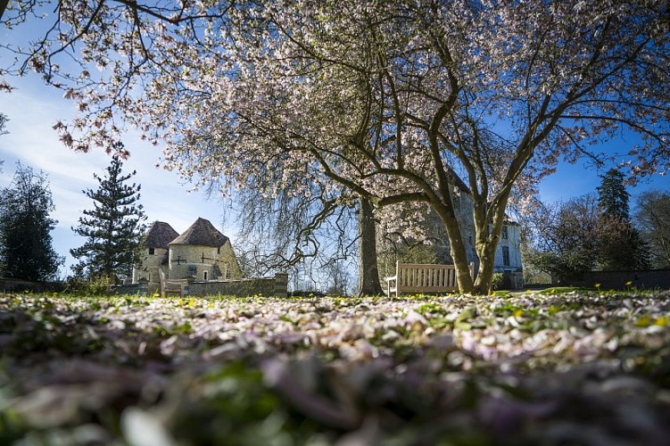 Medieval Château d’Harcourt