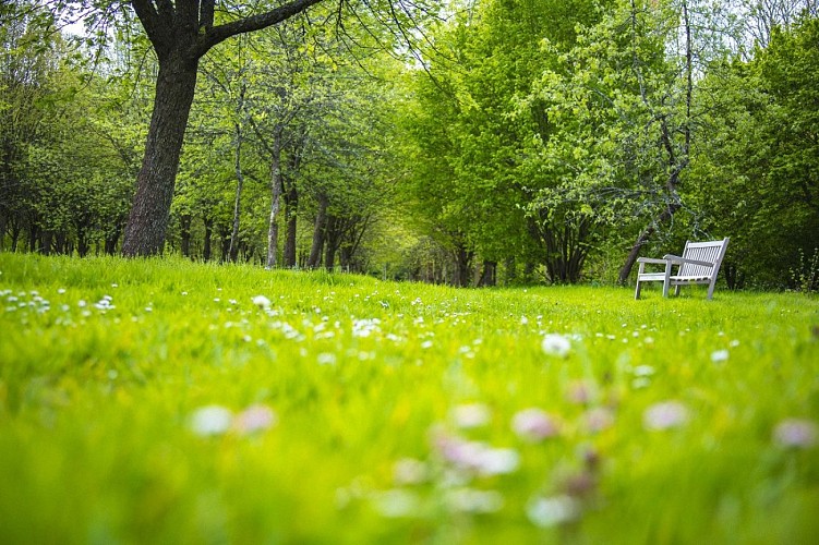 Domaine d'Harcourt © Département de l'Eure, S. Bachelot (2)