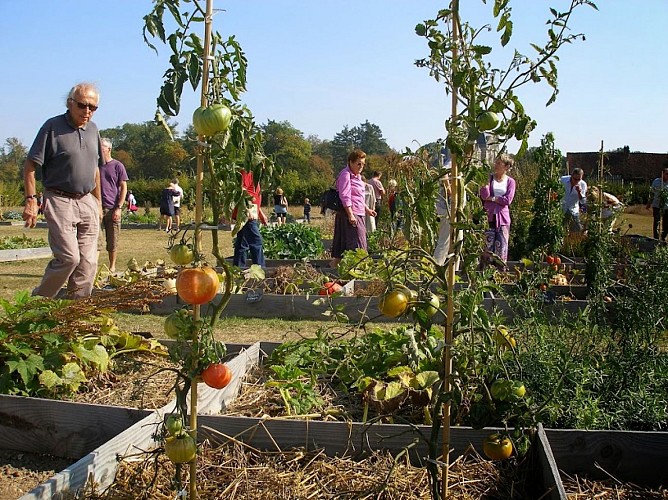 Le Potager de Beaumesnil