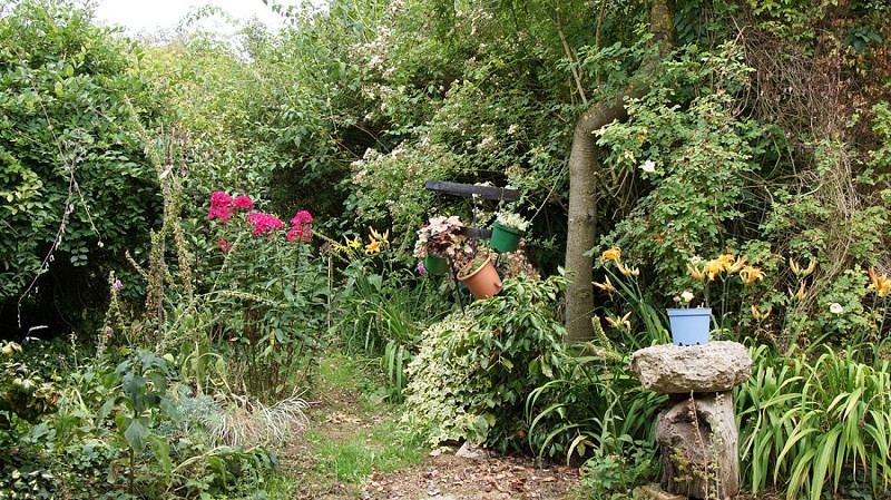 Jardin Le Philadelphus à Giverville_vue extérieure 2