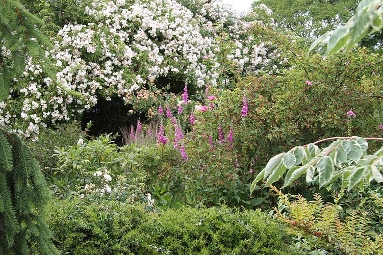 Jardin Le Philadelphus à Giverville_vue extérieure 3