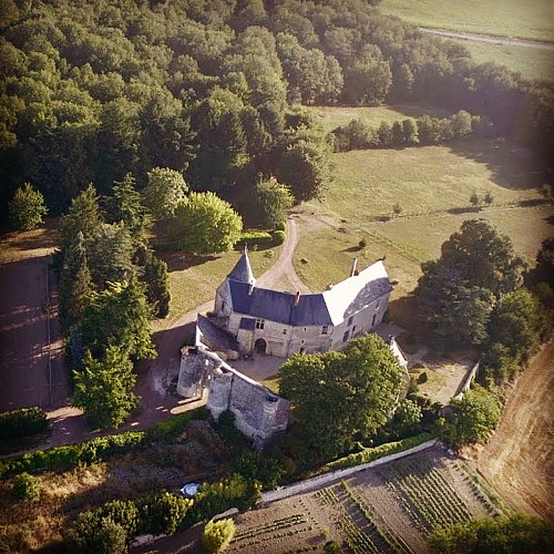 Château de la Roche-Martel (1)