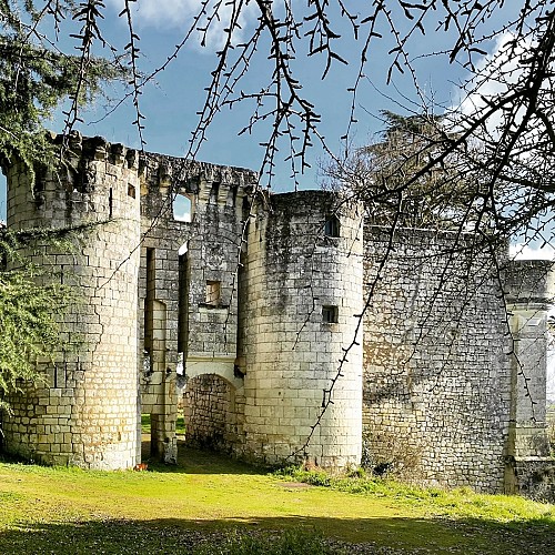 Château de la Roche-Martel (2)