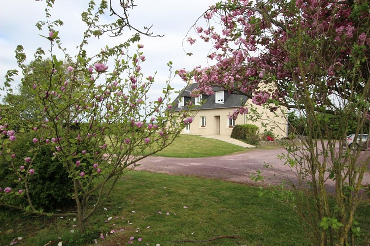 La Tête à la Femme