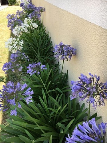 granville-ch-le-ptit-nid-8