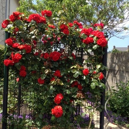 granville-ch-le-ptit-nid-9