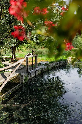 Moulin de Bourgon