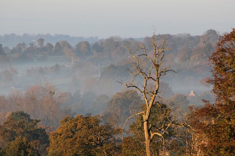 Gîtes de France G324