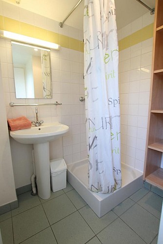 Clévacances H9610 : Rosier pimprenelle