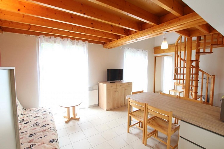 Clévacances H9609 : Matricaire maritime