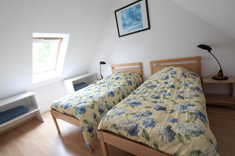 Clévacances H9609 : Matricaire maritime