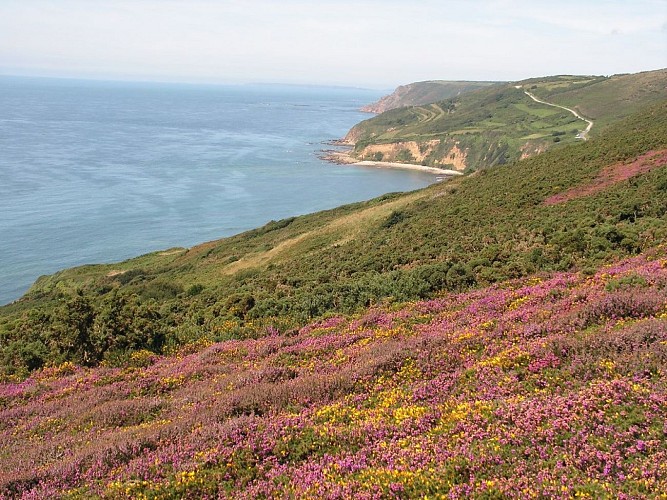 portbail-H7112-jade-10