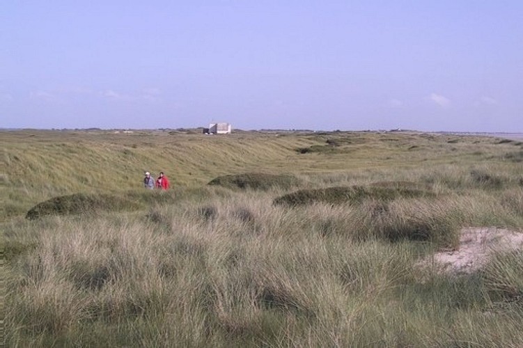 Meuble Beuve-Neveux 3